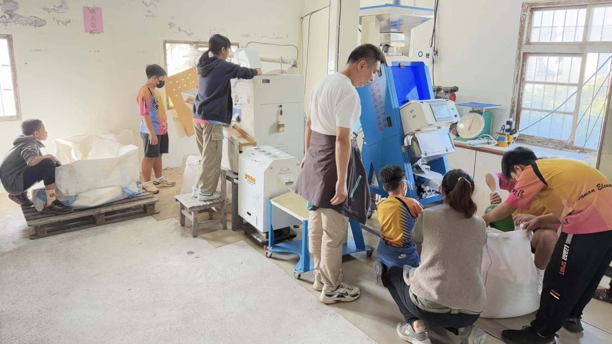 池上鄉萬安國小畢業生為了籌畢業旅行的費用傳統手工製作萬安手曬米，社區家長共同協力(相片由校長提供)