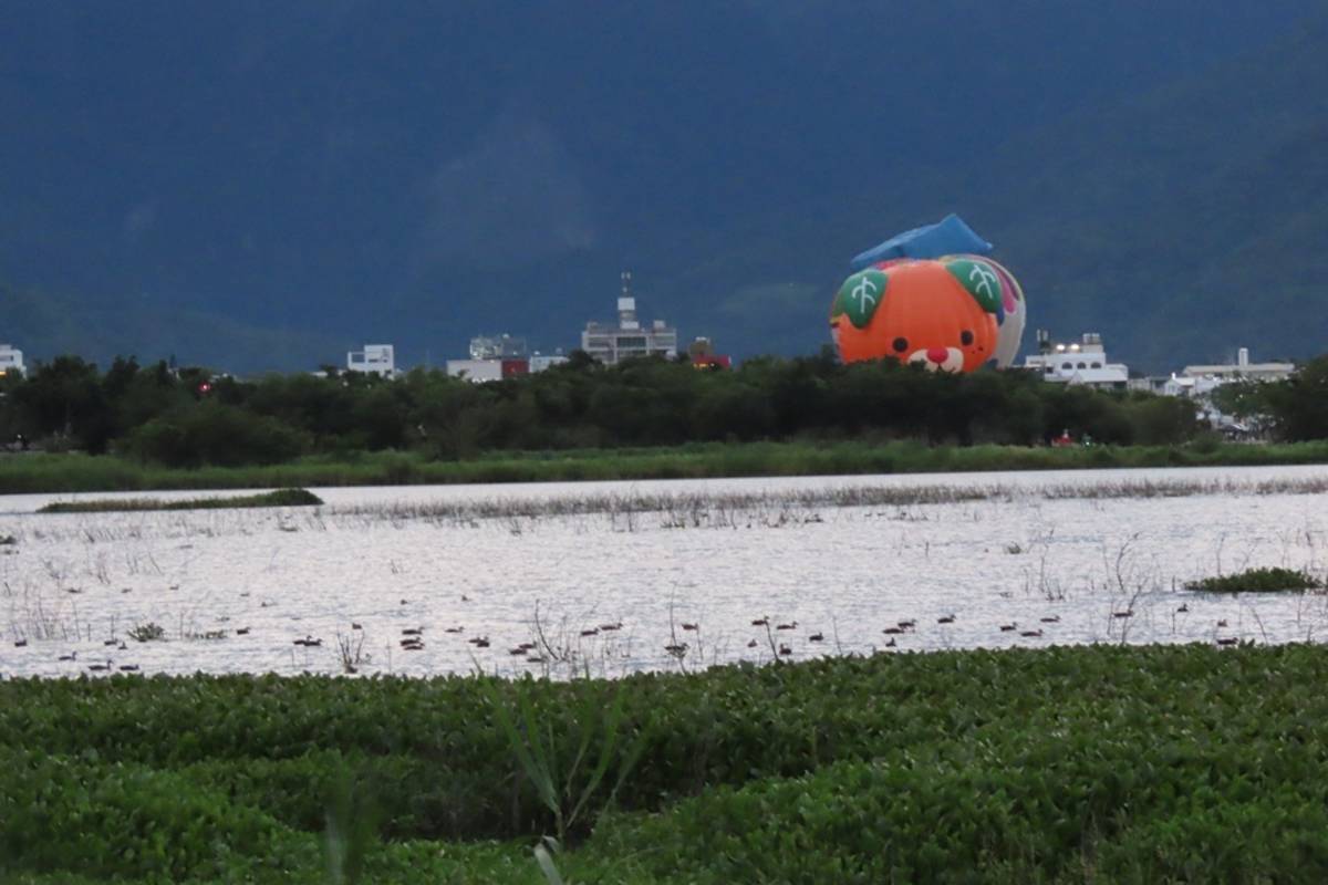劃設為國家級重要濕地的池上大坡池，每年因熱氣球嘉年華活動施放高空煙火導致當地棲息的水鳥減少，當地環團呼籲主辦單位暫停施放。
