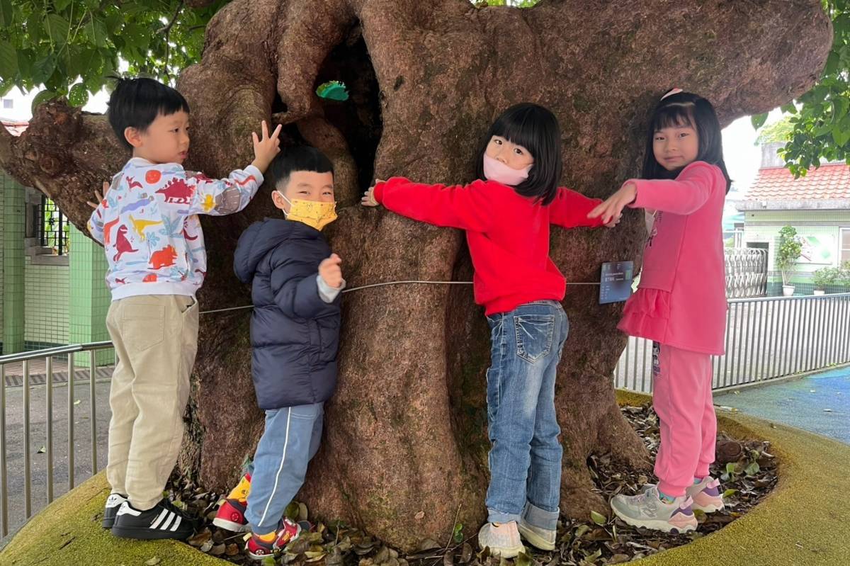 植樹節當天，自強國小幼兒園學生環抱著茄苳樹
