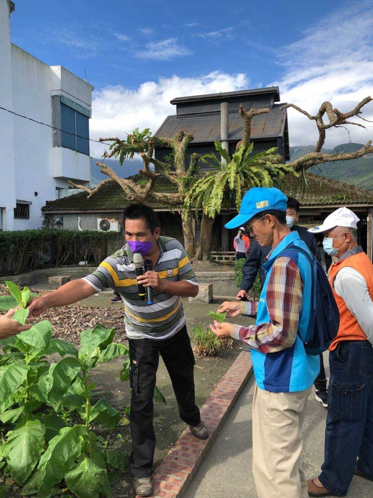 廖快菸樓,是全台少數仍維護完整且有位從小在菸草田長大的孩子徐明堂，提供專業導覽服務。是全台最具尋踏、走讀價值的特色景點!