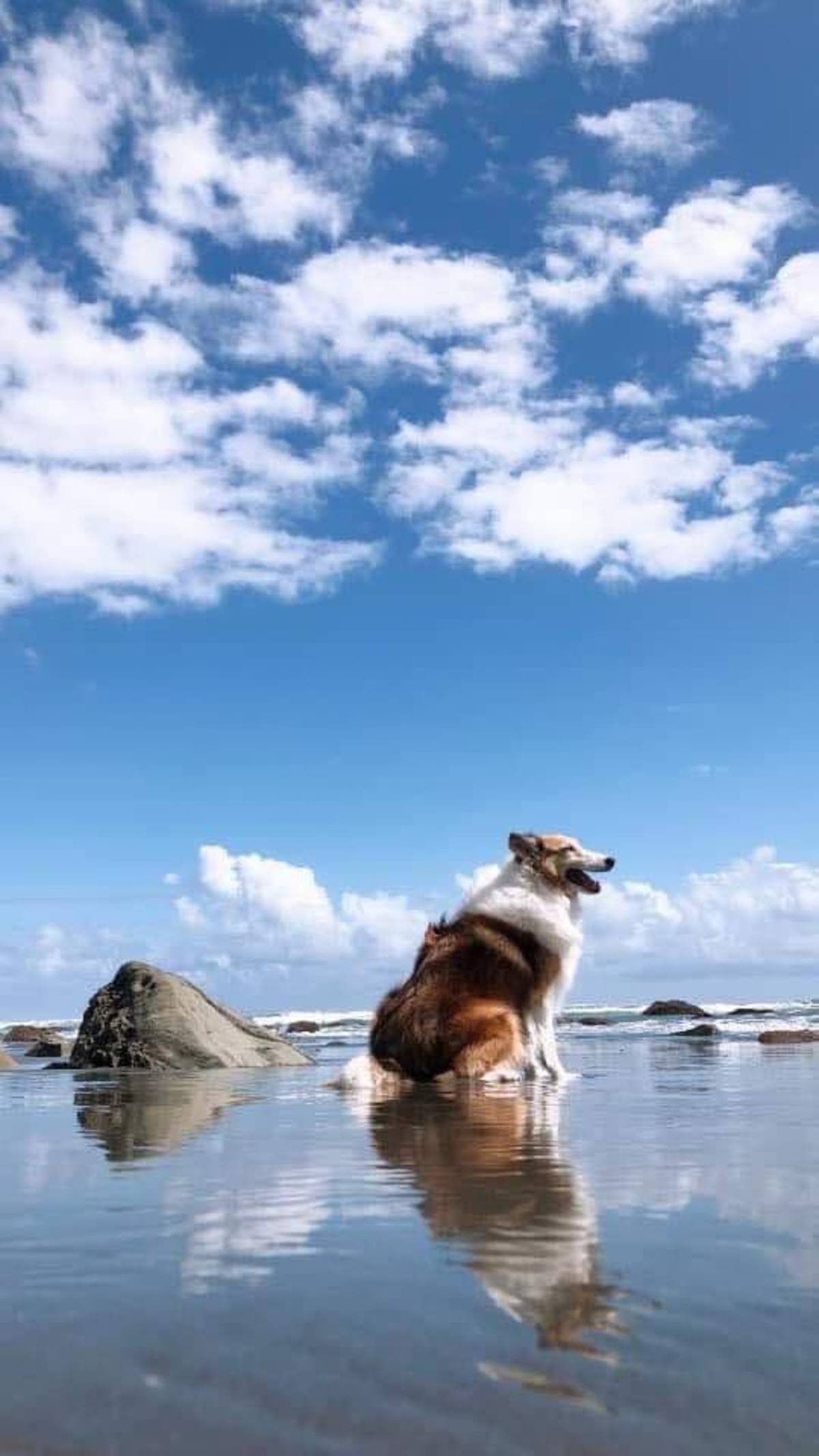 樂樂