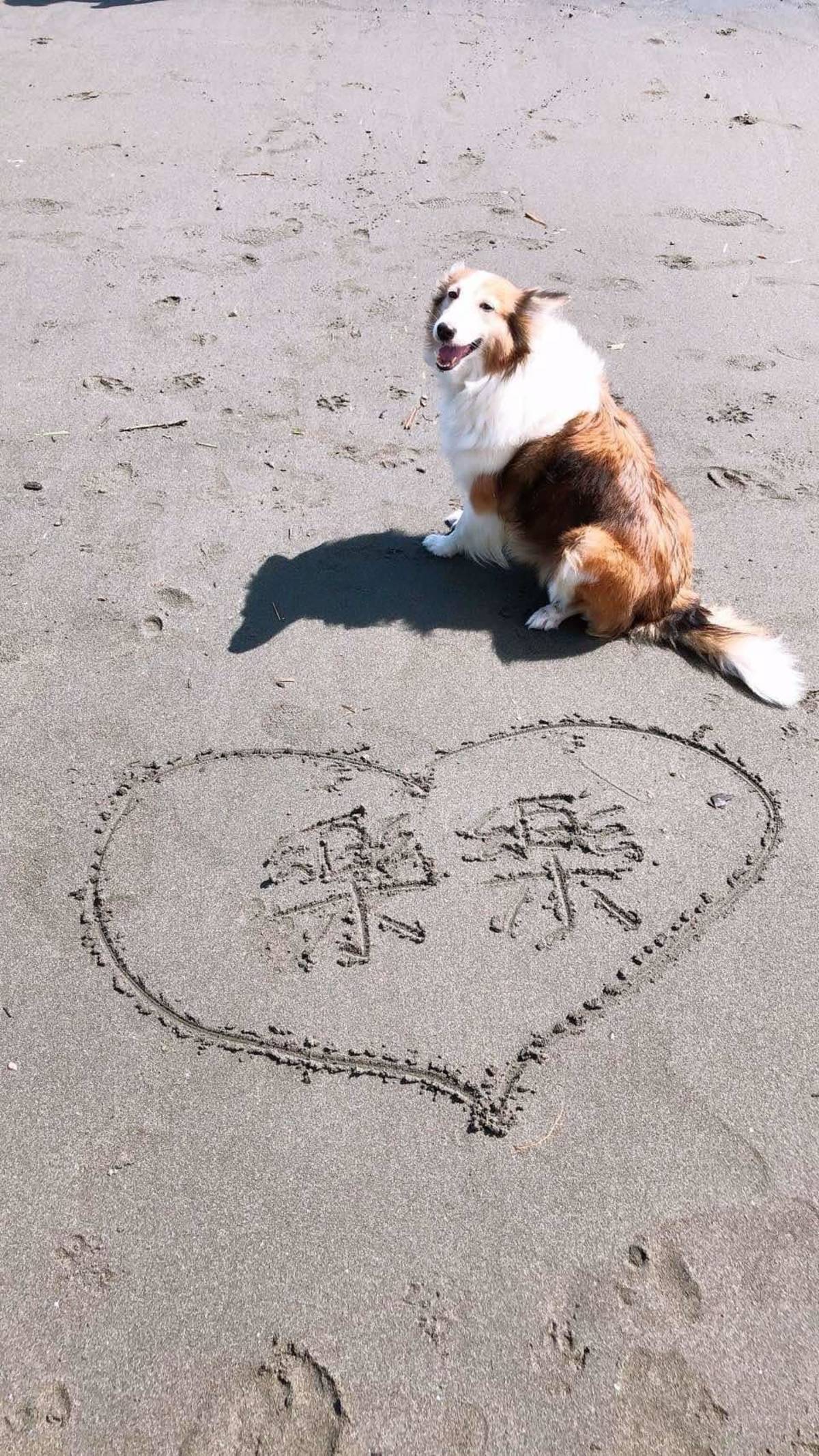 樂樂