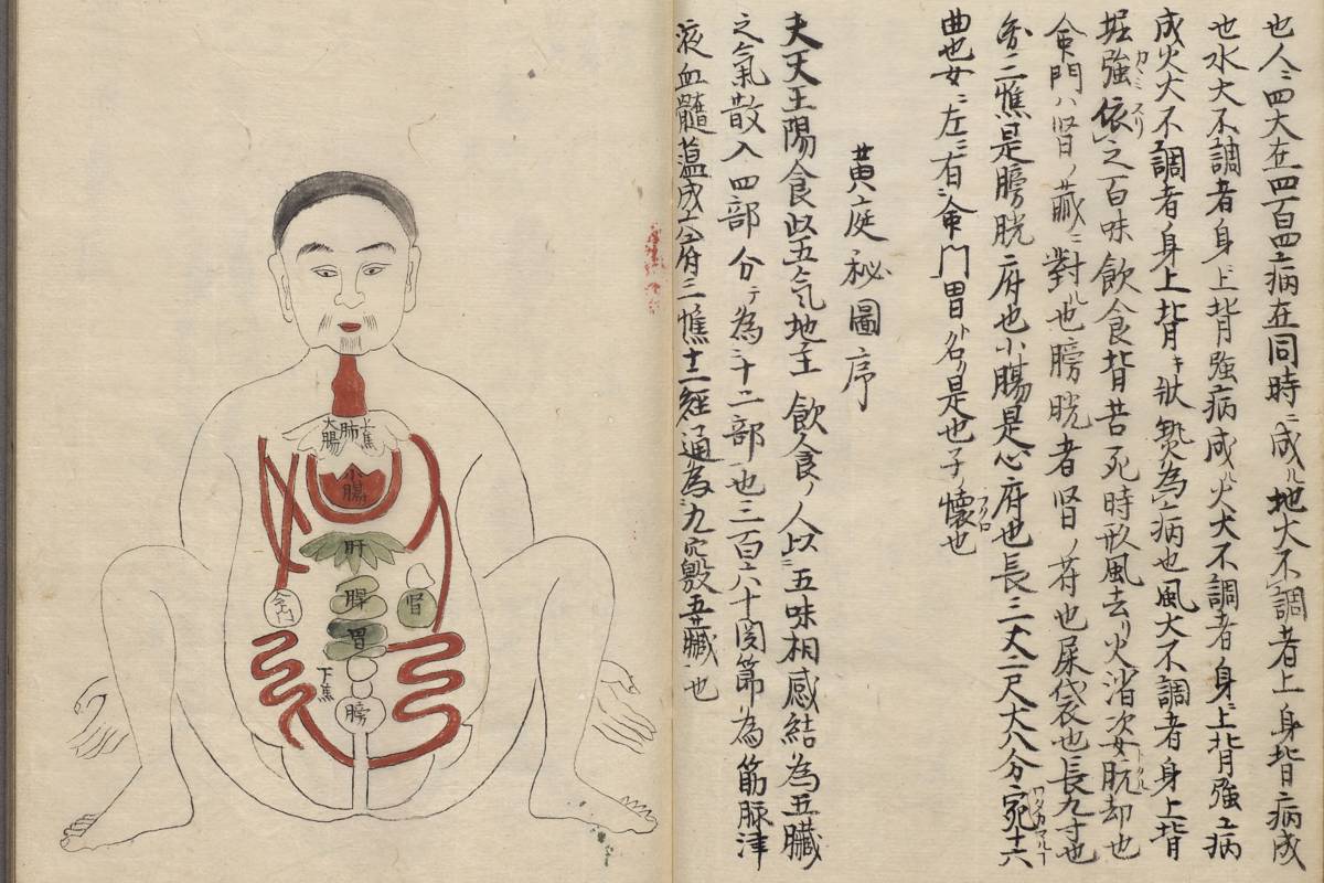 《耆婆五臟經》中「黃庭秘圖序」(故宮提供)