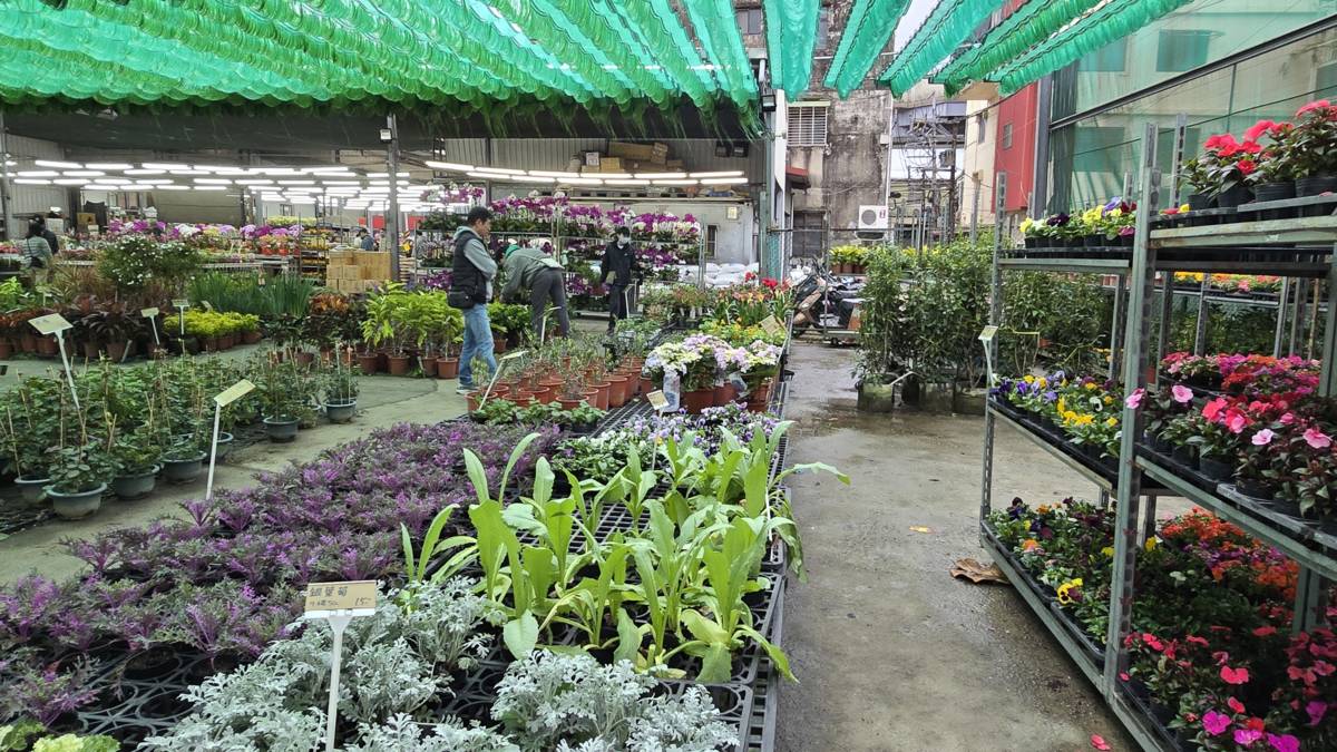 園藝店內具有豐富多樣的植物，令人目不暇給
木本、草本、多肉植物任君挑選