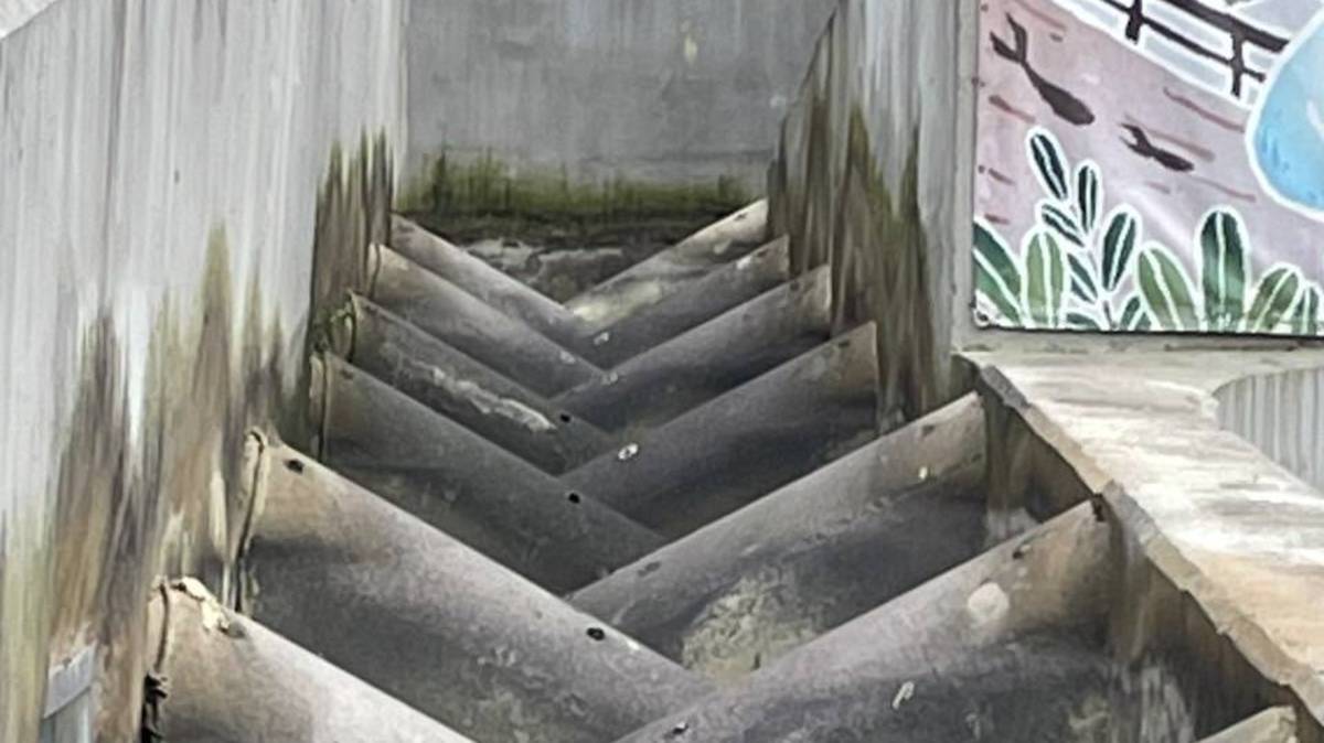 提供魚兒休息再衝刺的水池設計
