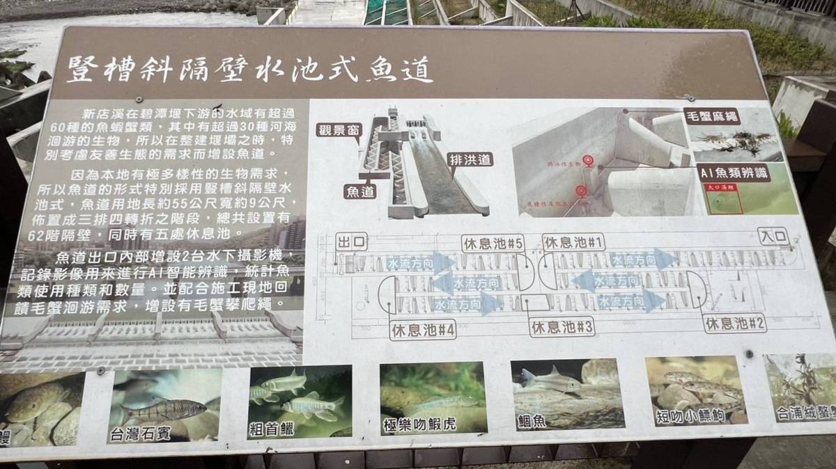豎槽斜隔壁水池式魚道解說牌

