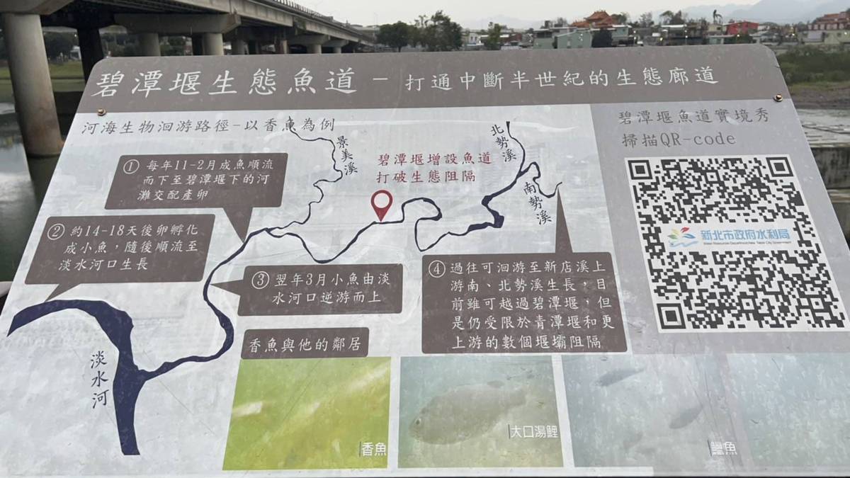 生態魚道解說牌
