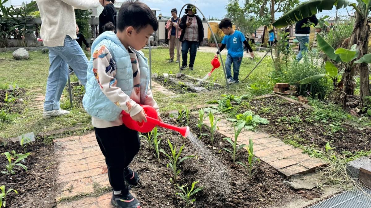 在新園國小附幼由孩子自己照顧玉米田
