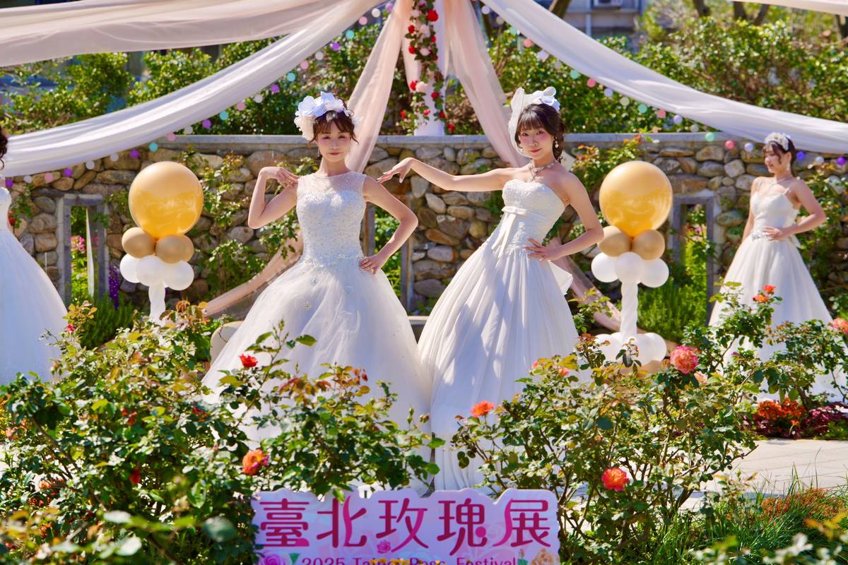 北市稻江護家時尚科學生扮身玫瑰花仙子，在臺北玫瑰展參與展演走秀