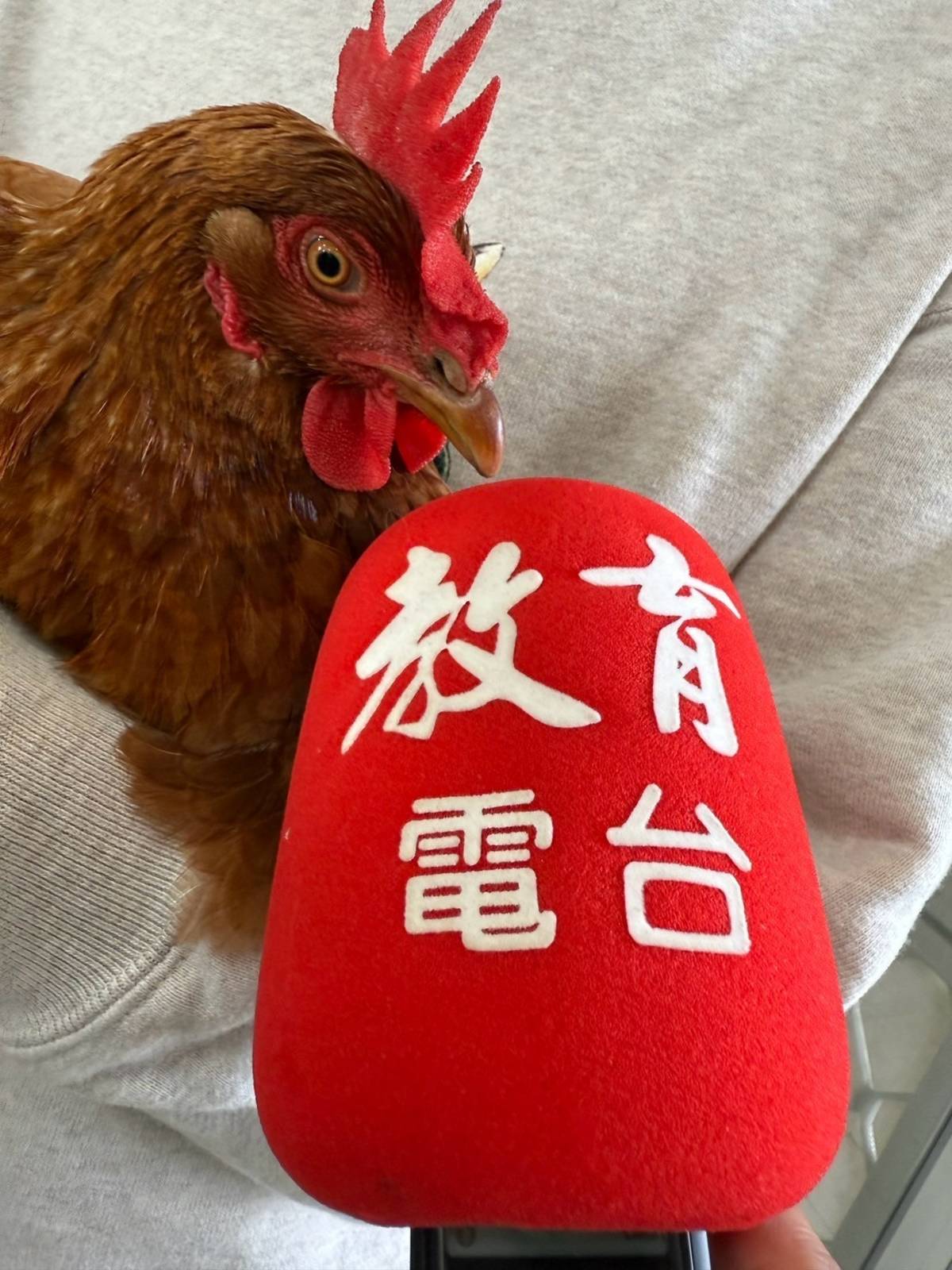 母雞也有話要說嗎?