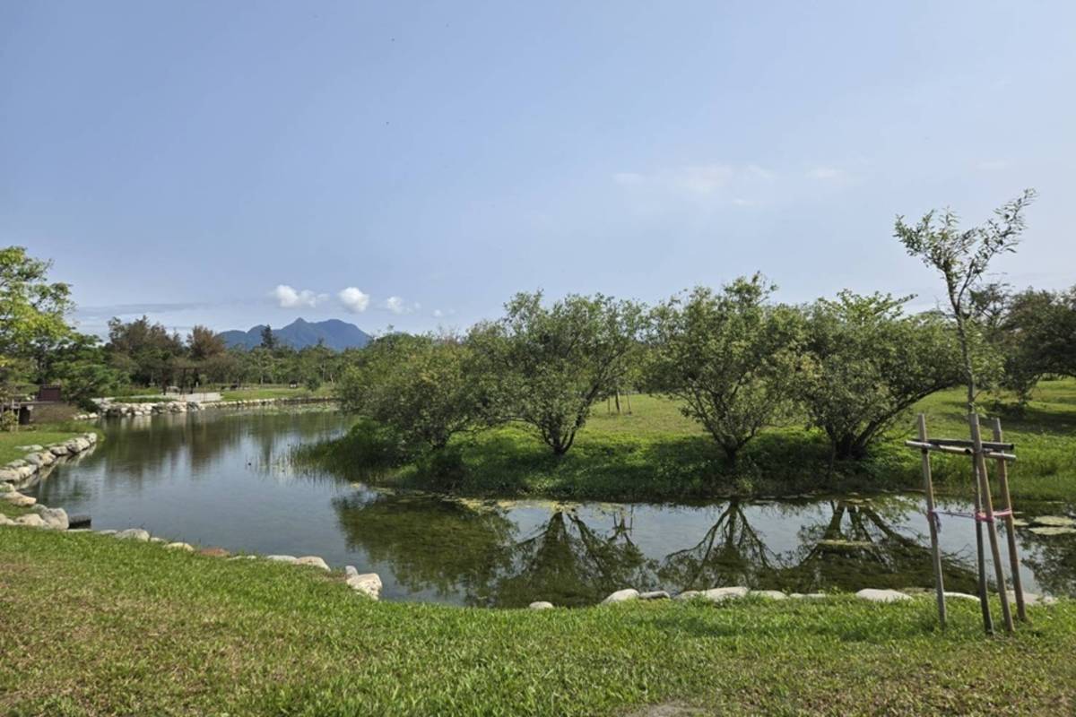 臺東森林公園蓮花池進行生態復育，恢復原生種生態，讓水域更加富有生命力與觀賞價值。