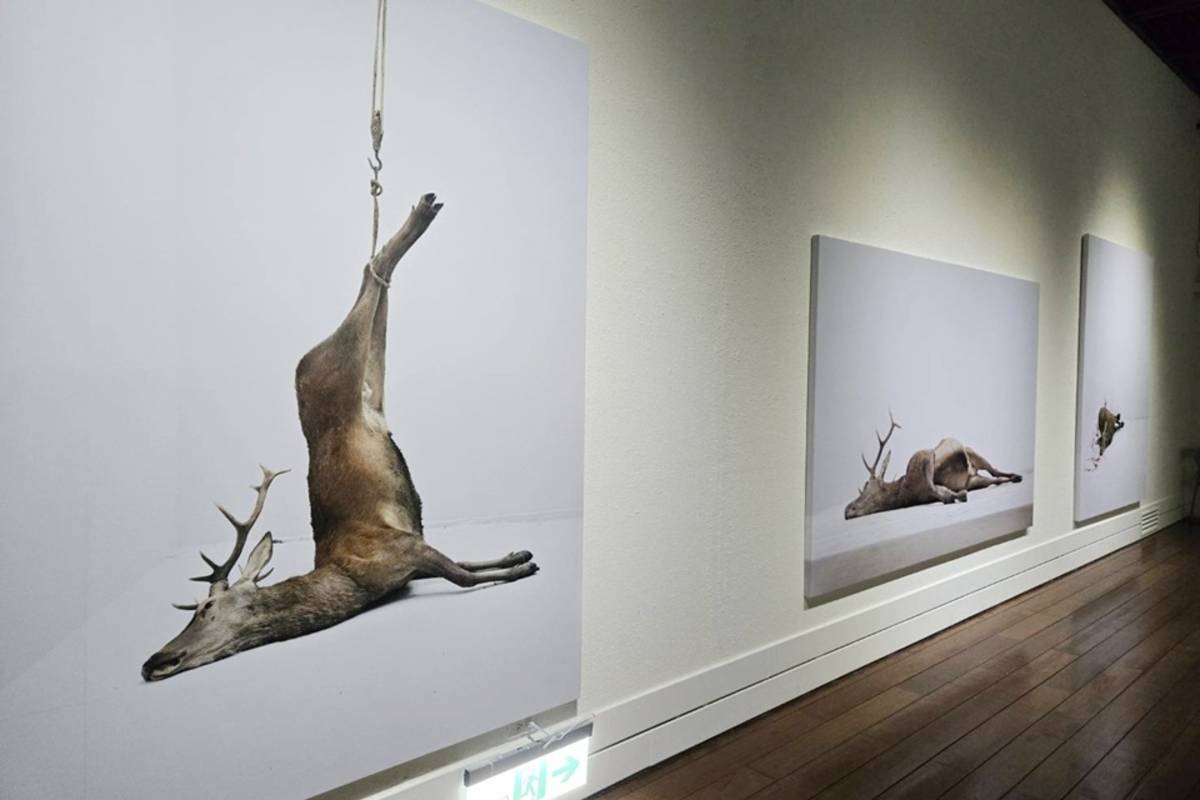 法國攝影師Eric Poitevin亞洲首次個展《你見過的風景我走過》29日起於台東美術館展出。