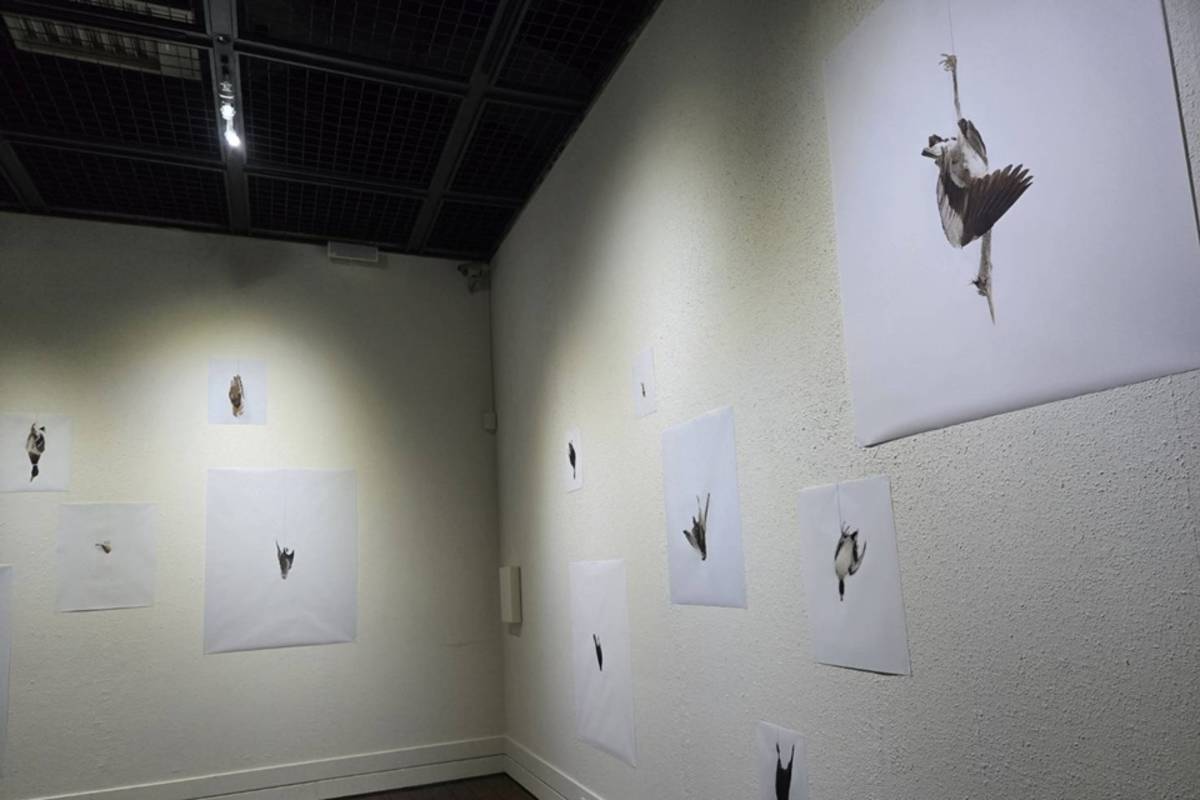 法國攝影師Eric Poitevin亞洲首次個展《你見過的風景我走過》29日起於台東美術館展出。
