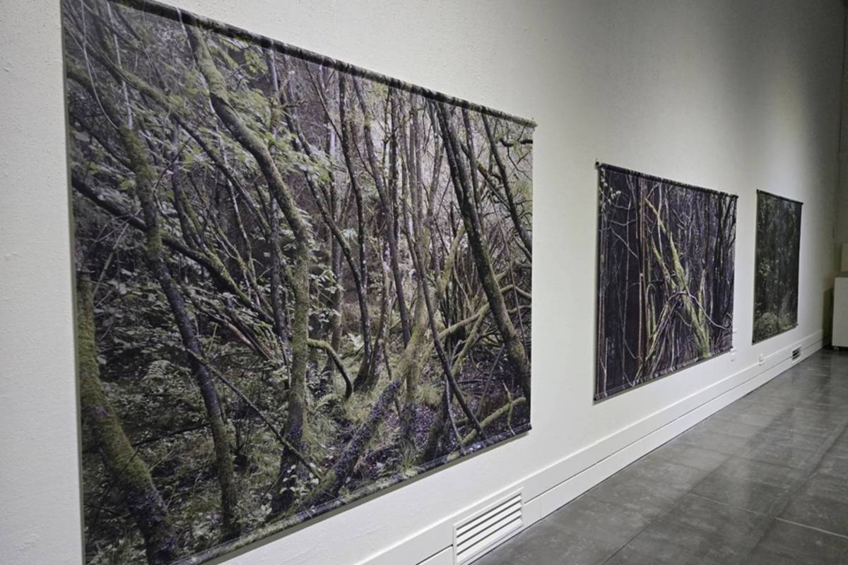 法國攝影師Eric Poitevin亞洲首次個展《你見過的風景我走過》29日起於台東美術館展出。