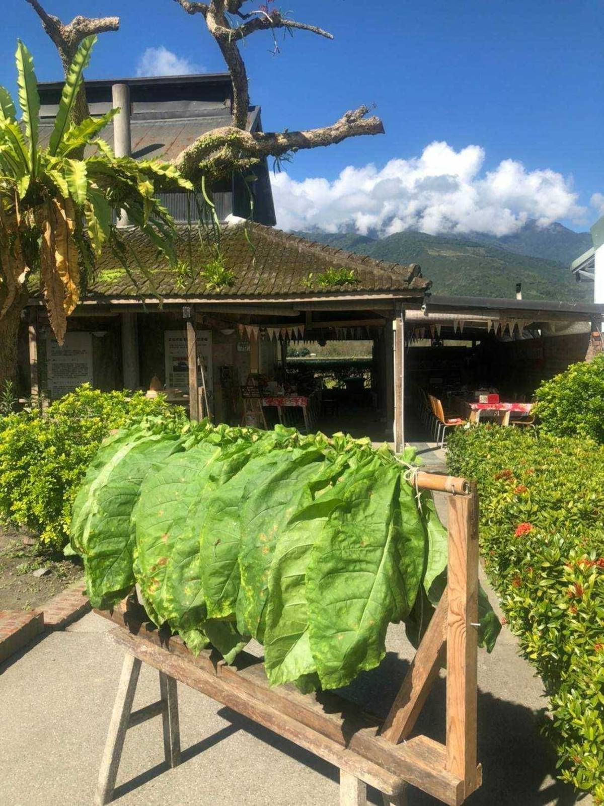 徐穗堆廖快菸樓屬於大阪式菸樓，建立於民國56年，整體外觀有三層，最上一層是一個尖塔，俗稱太子樓。