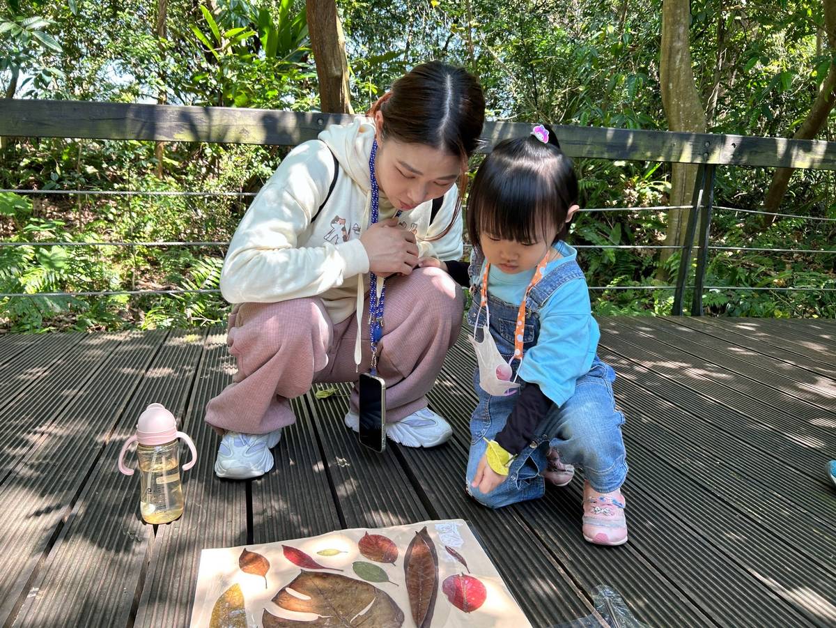 親子沿路撿拾落葉，遇到隱藏關主就可以進行葉子配對的遊戲