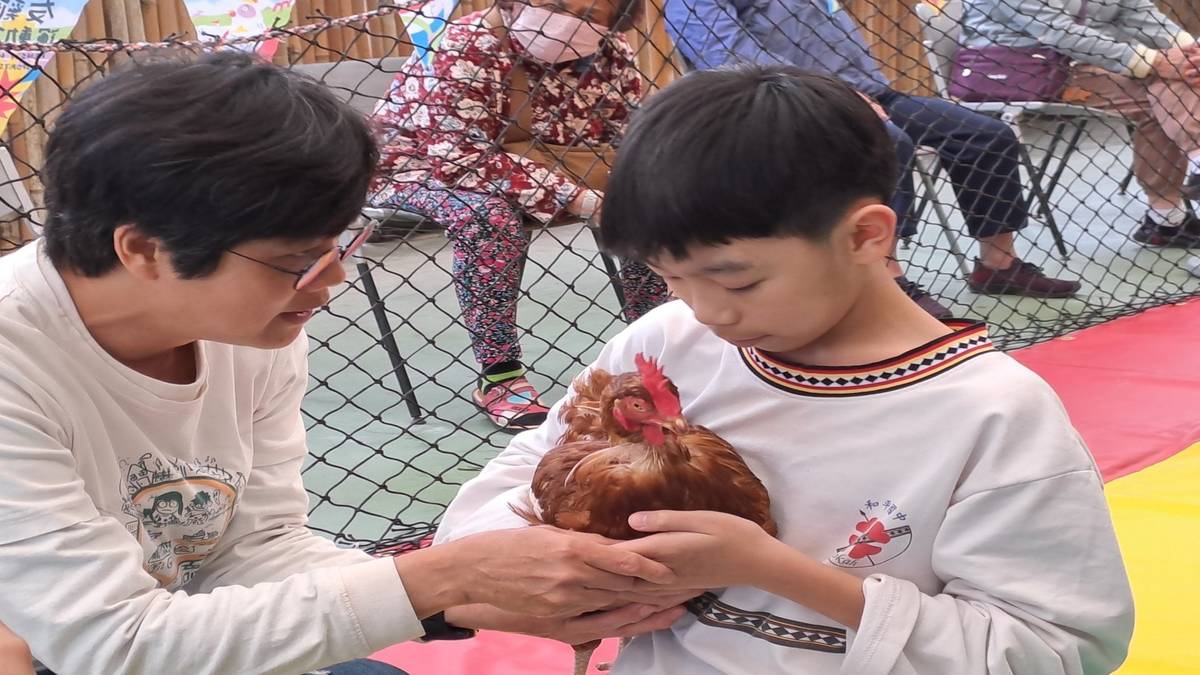 溫暖的抱著雞  雞也能感受你的溫暖