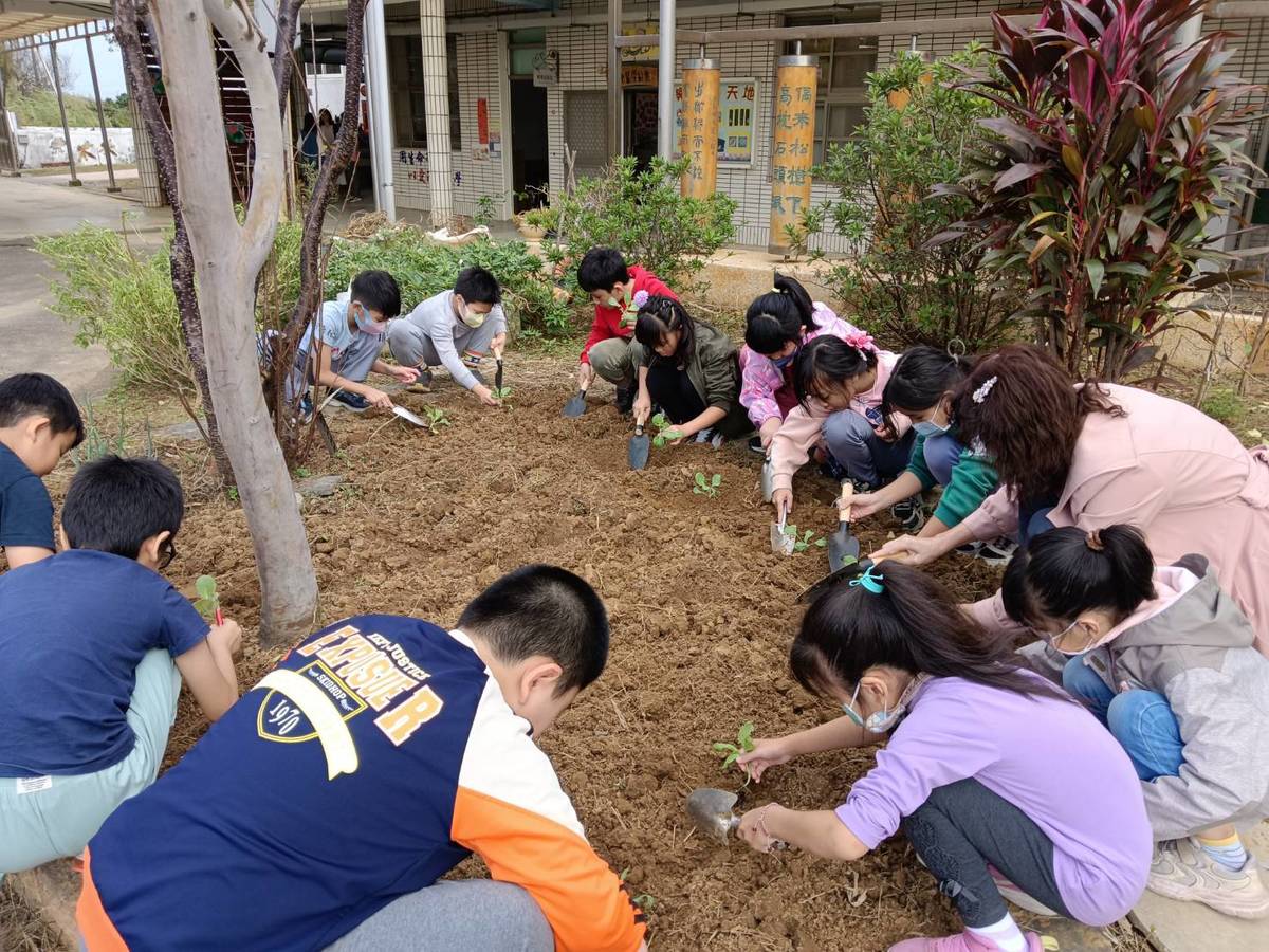 育仁國小學生從鬆土、種植、抓蟲、自製有機肥與天然驅蟲液等，在實作中學習友善環境