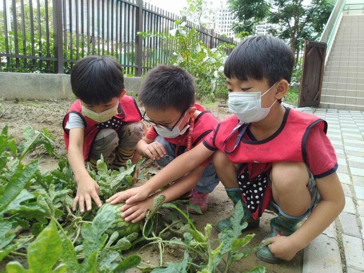 孩子們開心收成 (教育部提供)
