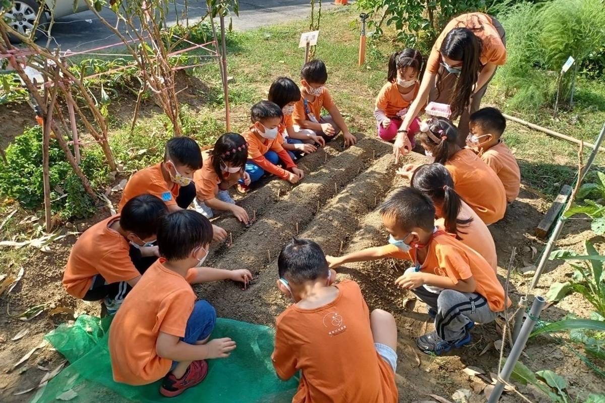 孩子們跟老師一起種下種子 (教育部提供)