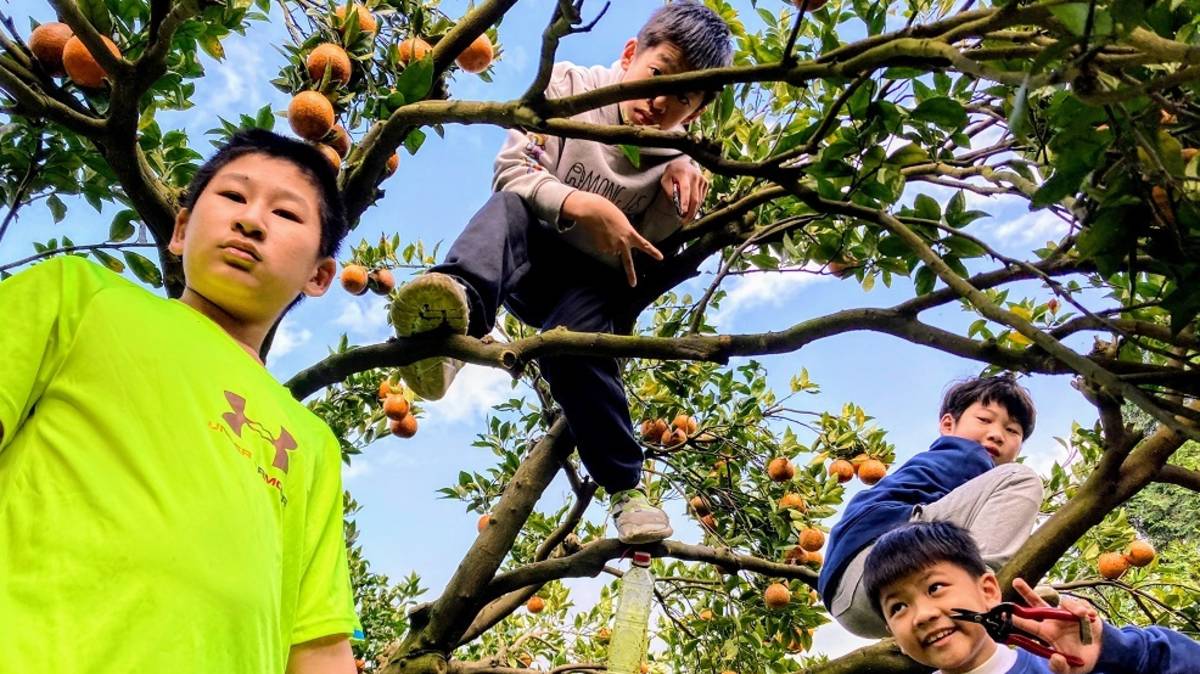 孩子在戶外活動展現不同多元面向(本圖截自台灣走透公司網頁)