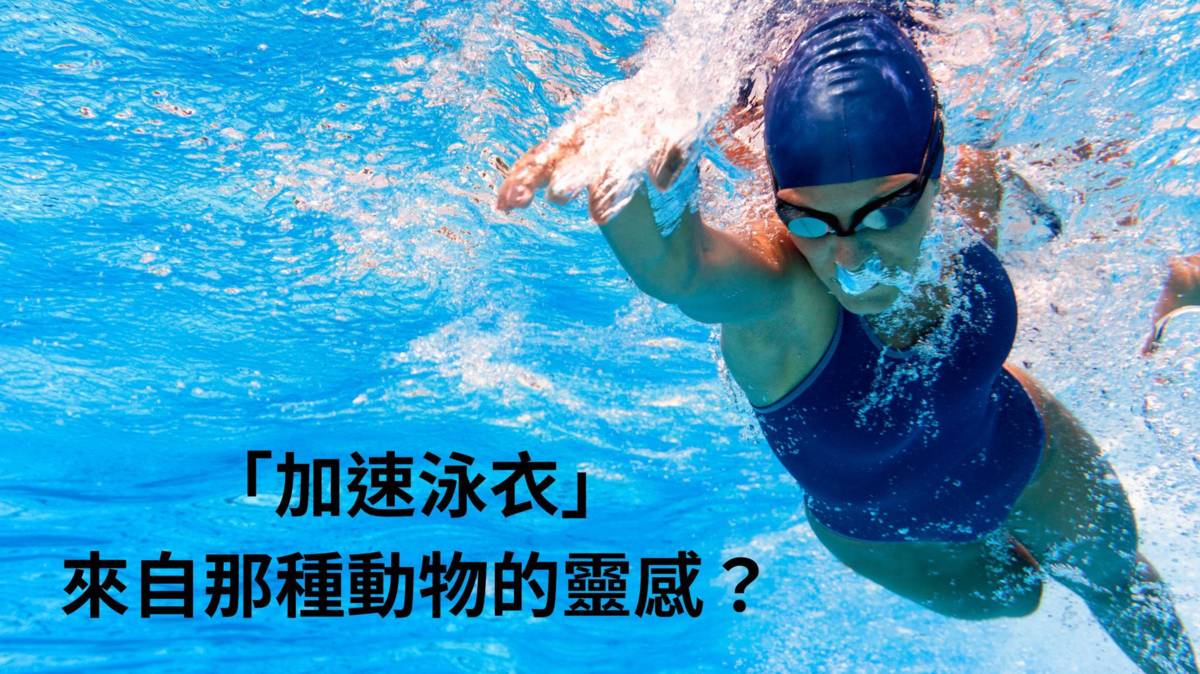 泳衣