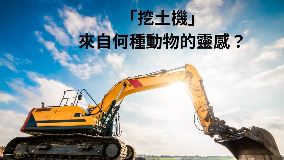 挖土機