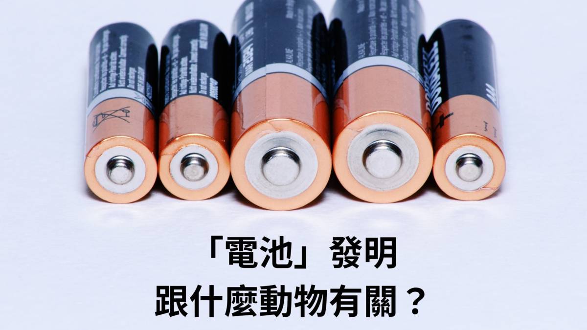 電池