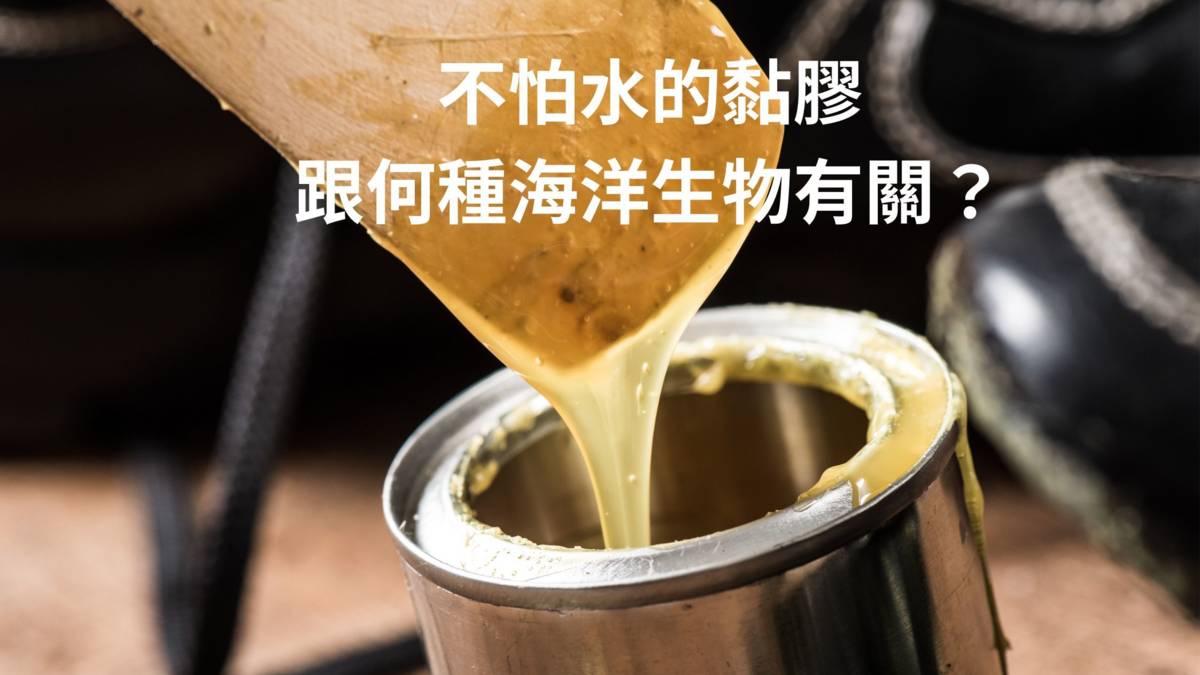 黏膠