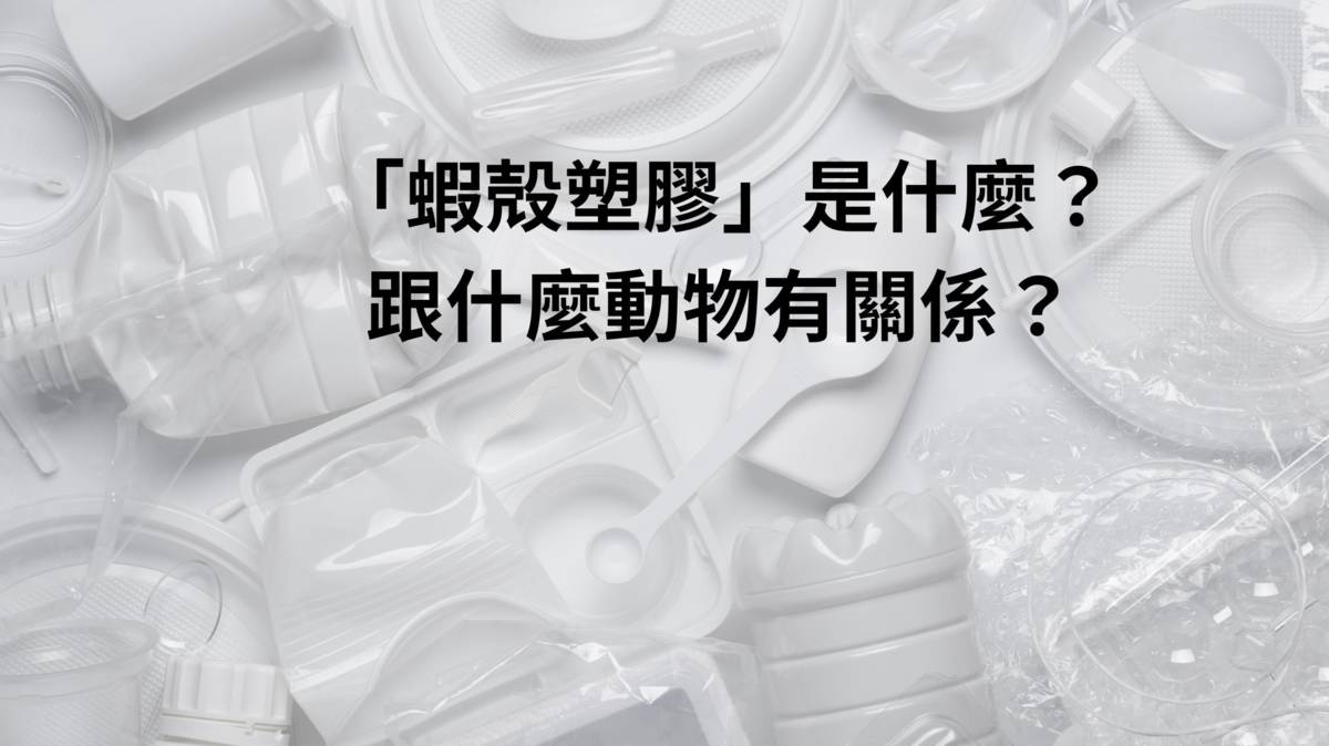 塑膠