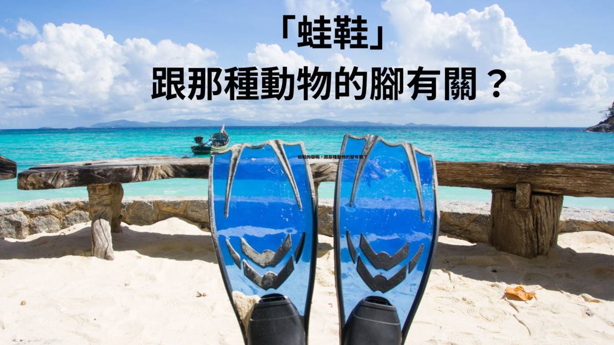 蛙鞋
