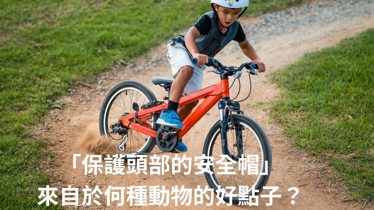 安全帽