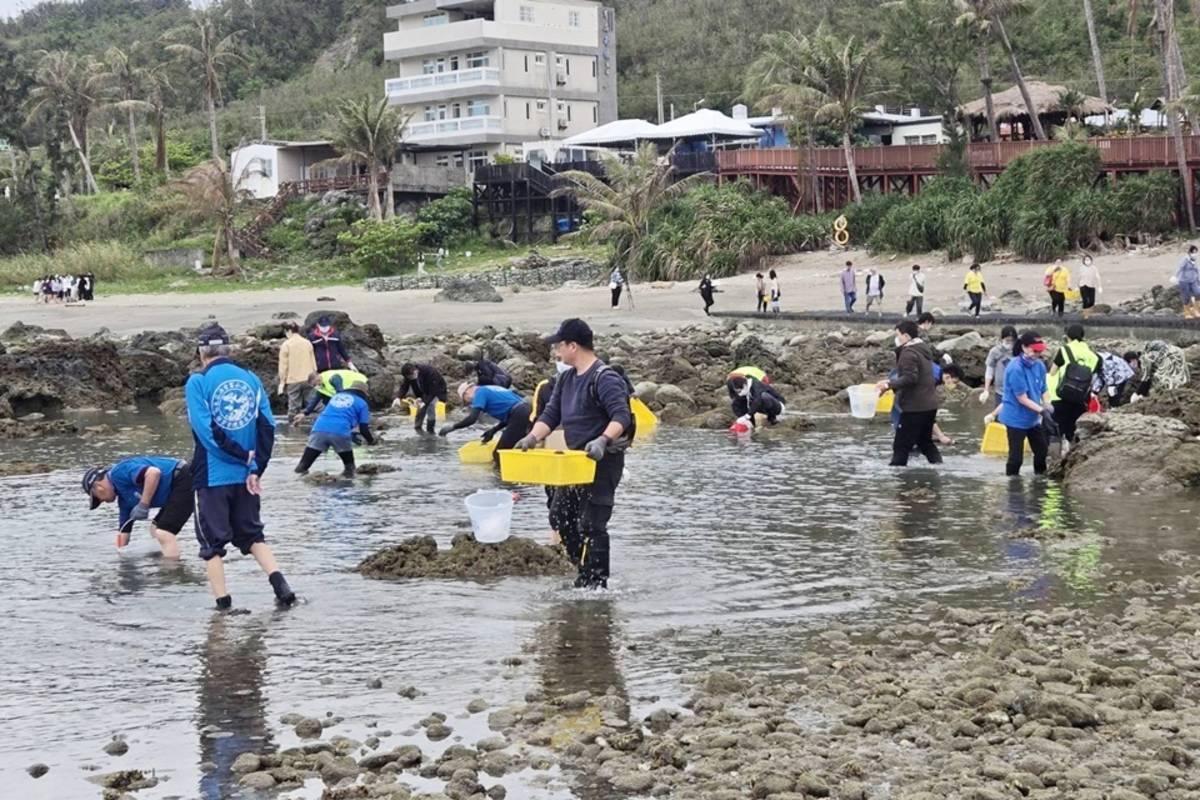 經農業部水產試驗所輔導，臺中宗教團體到臺東富山漁業資源保護區，放流百顆硨磲貝苗、千顆馬糞海膽、上萬尾魚苗及馬糞與紫海膽幼苗，盼社會大眾重視海洋生態保育。