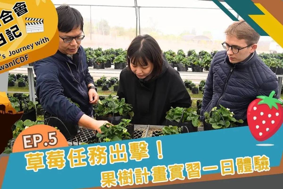 《我的國合會見習日記》是全球首部以國際合作與援外為主題的實境節目，全程由國合會自製，全系列共5集全數上線。(國合會提供)