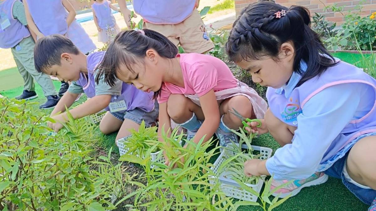 東湖非營利幼兒園