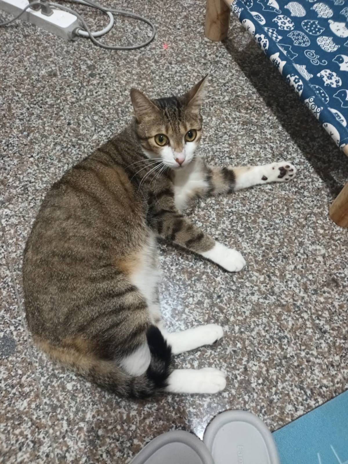 波塔