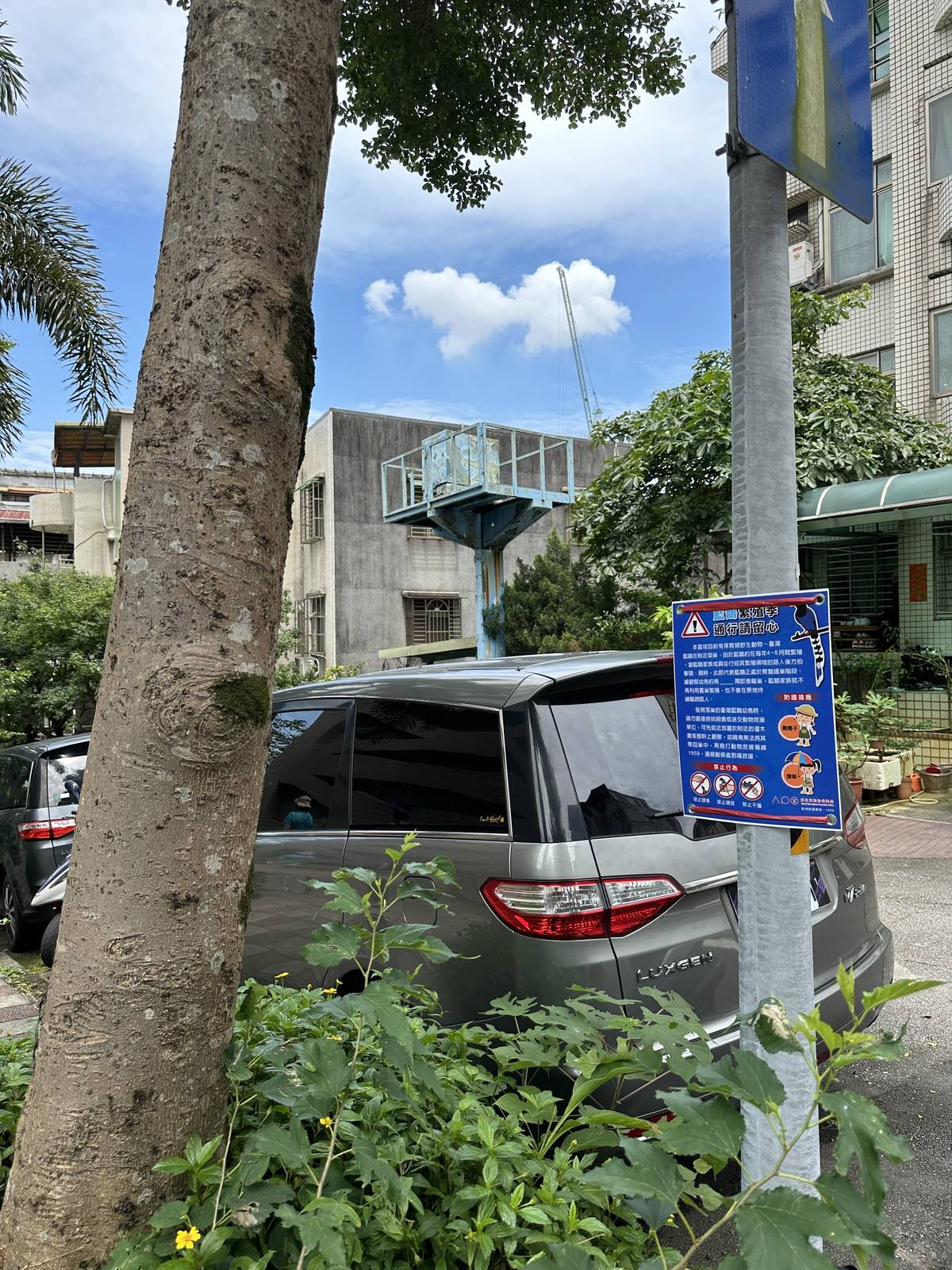 動保處在臺灣藍鵲巢穴下張貼告示，提醒民眾留意
