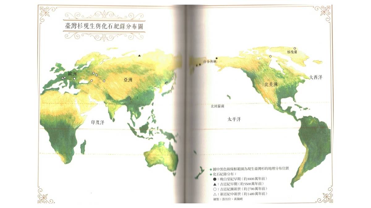 臺灣杉分布
引自《通往世界的植物》一書