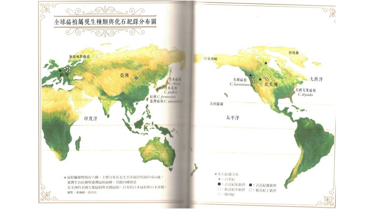 全球扁柏分布
引自《通往世界的植物》一書