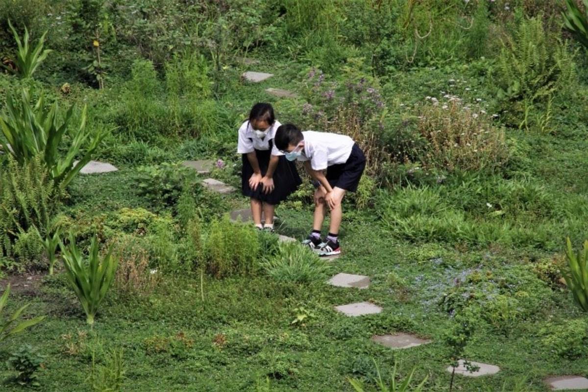 被形容為「都市中的綠寶石」的莒光國小