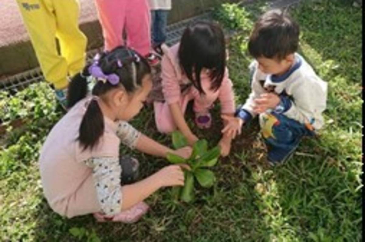 被形容為「都市中的綠寶石」的莒光國小