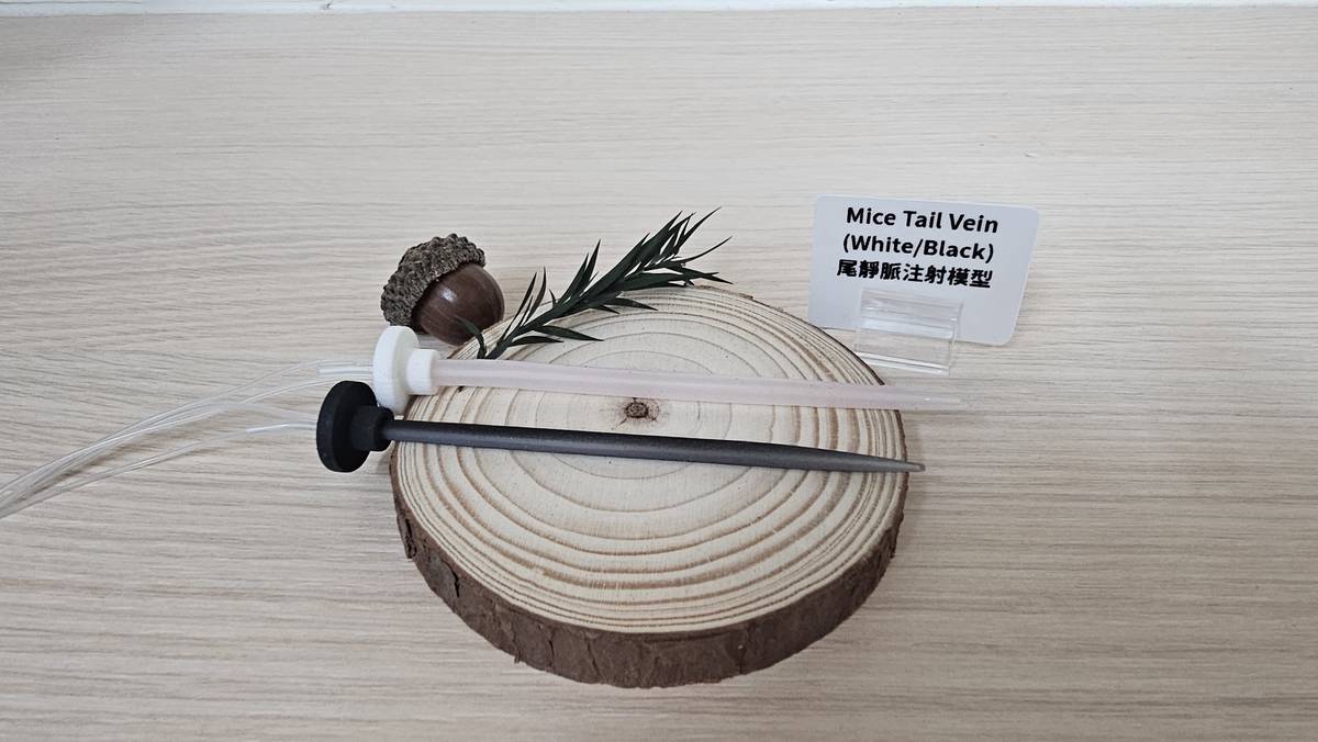 尾靜脈注射模型(陽明交大提供)