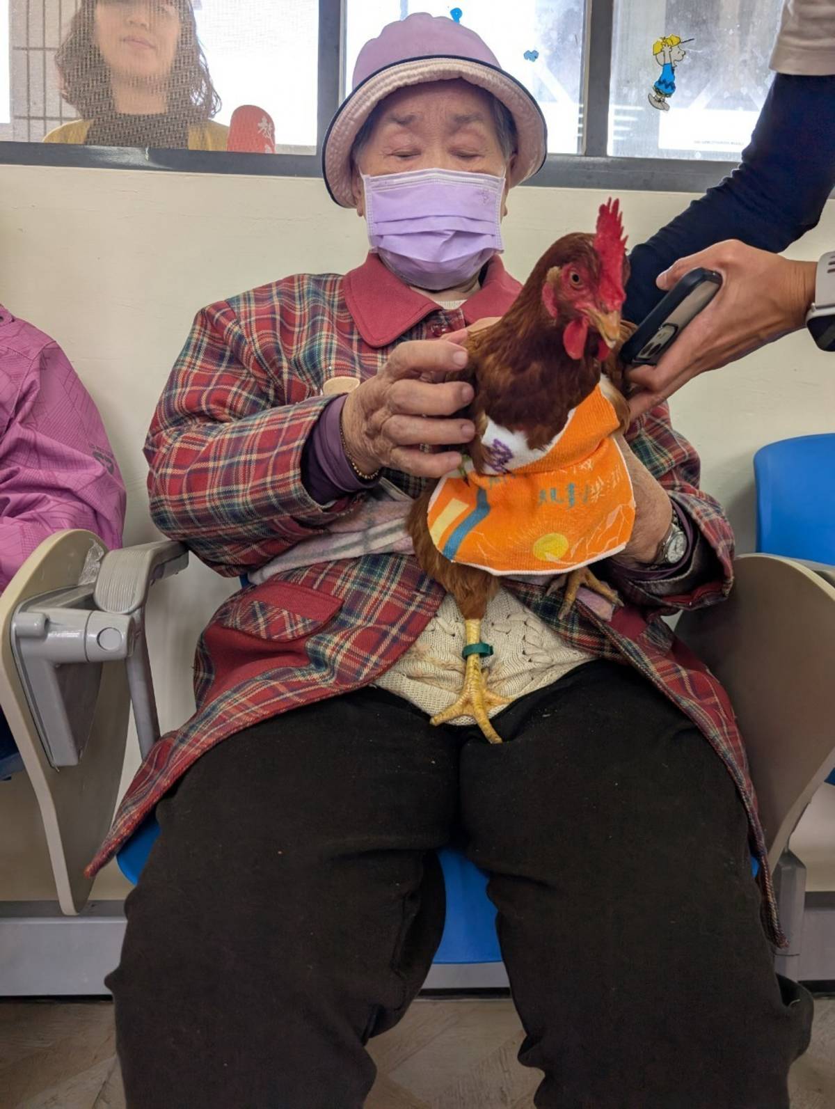 幫雞穿衣服