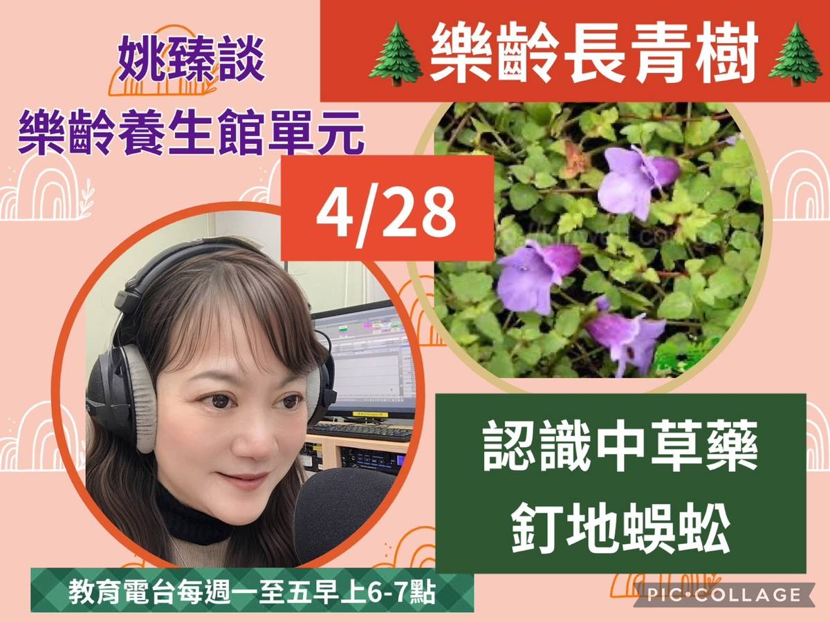 姚臻談中草藥釘地蜈蚣的蜈蚣草