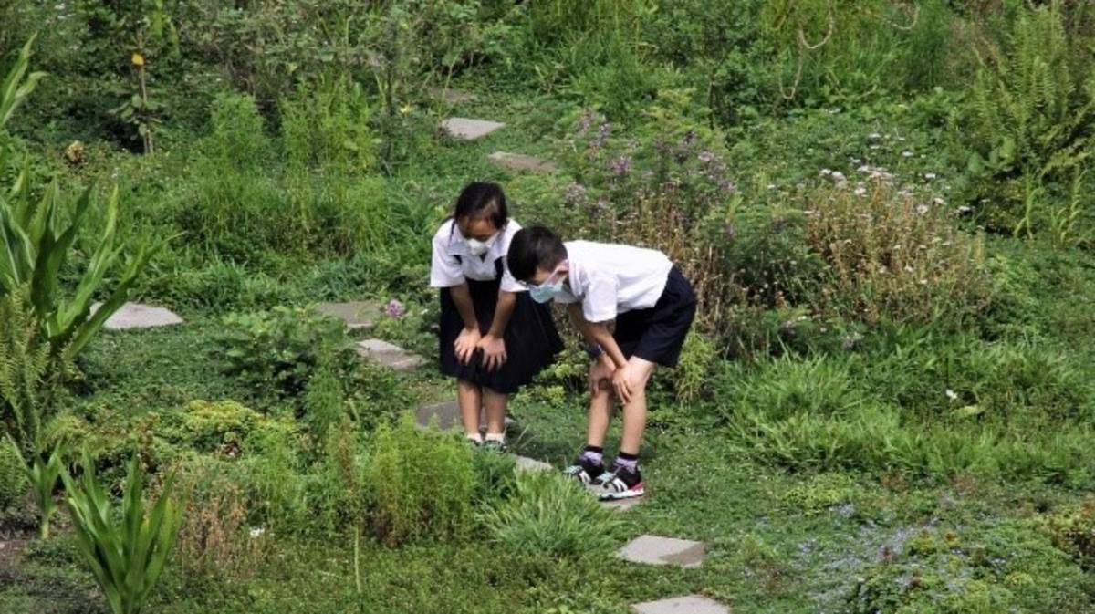 環境教育常勝軍 板橋莒光國小如綠寶石迷人