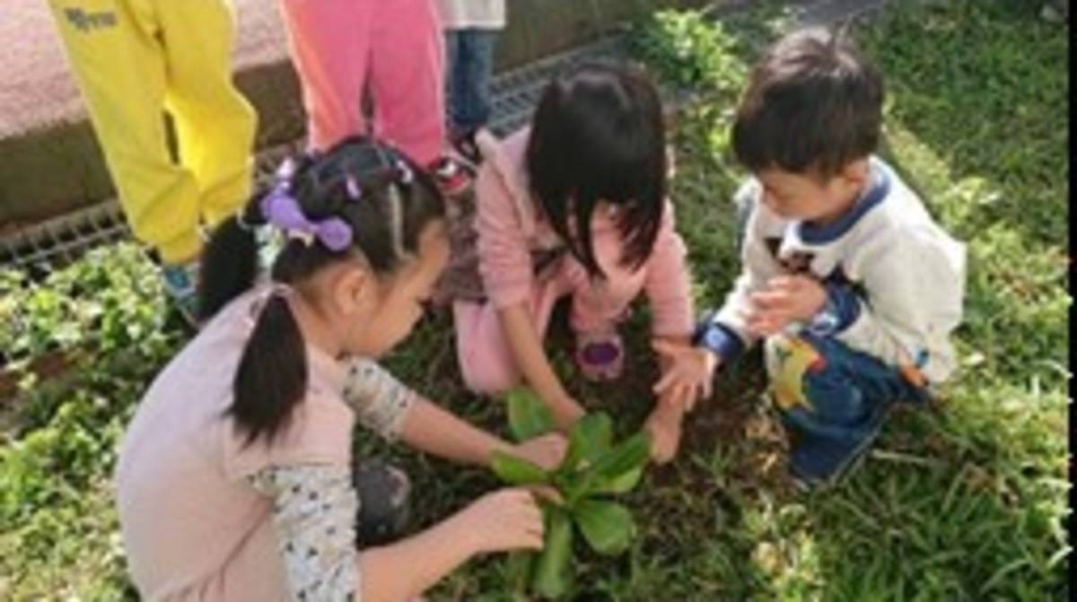 環境教育常勝軍 板橋莒光國小如綠寶石迷人