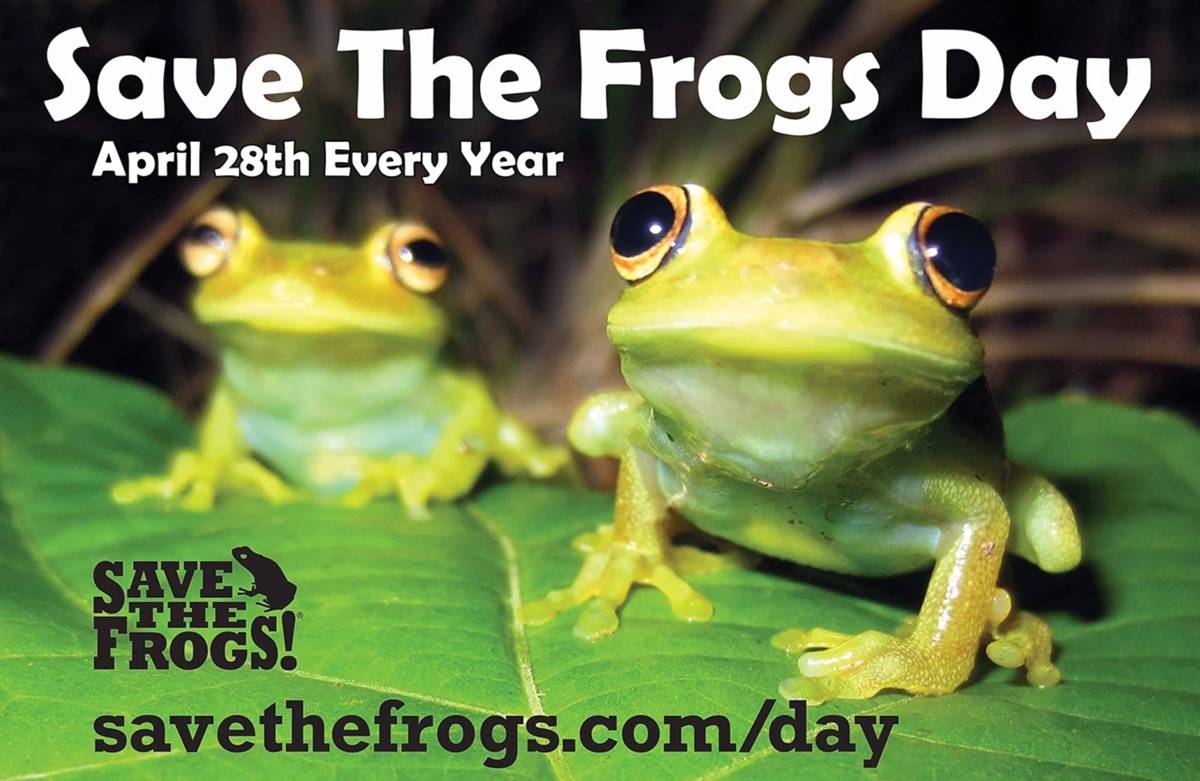4月28日是「拯救青蛙日Save the Frogs Day」，臺北市立動物園呼籲民眾保育兩棲動物和棲地