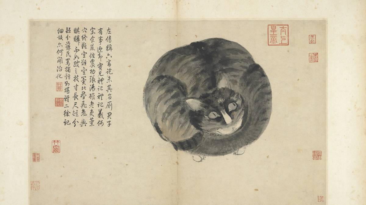 沈周畫貓