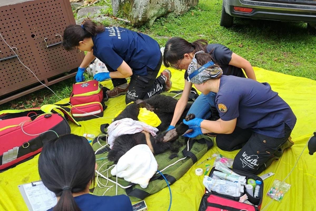 野灣團隊現場緊急醫療處置。(林保署臺東分署提供)