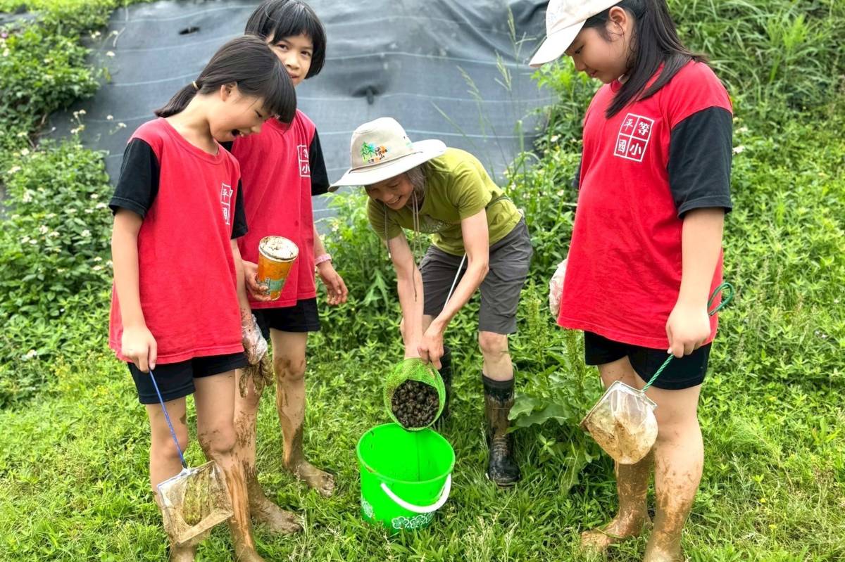 北市平等國小親師生和社區居民攜手清除水梯田外來入侵種—福壽螺